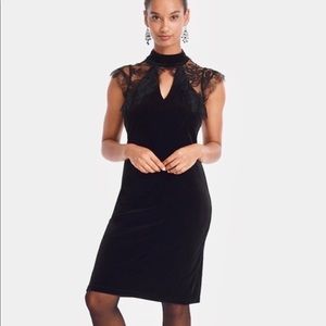 Velvet Dress with Lace WHBM